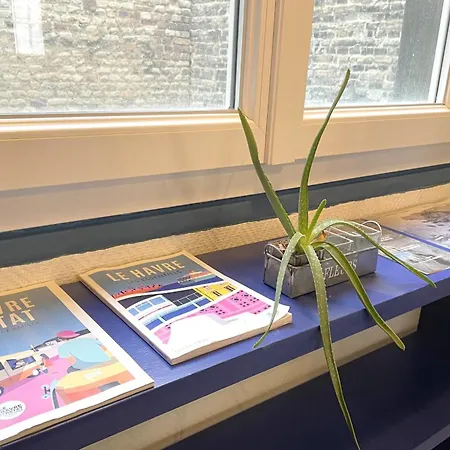 L'île Enchantée - Typique - St François El Havre